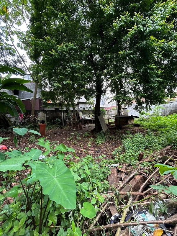Tanah Komersial Pondok Labu Cilandak Jakarta Selatan, Potensi Rumah Kost