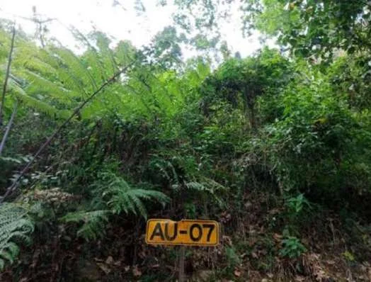Tanah Potensial Bandung, Peluang Investasi Bagus! foto 2