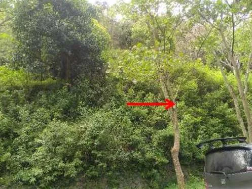 Tanah Potensial Bandung, Peluang Investasi Bagus! foto 2