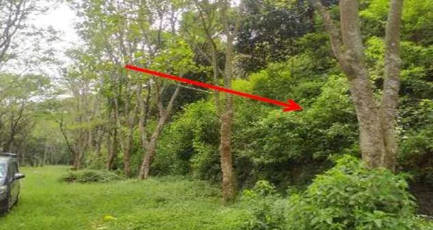 Tanah lelang Bandung