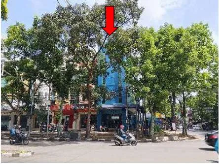 Rumah lelang Bandung
