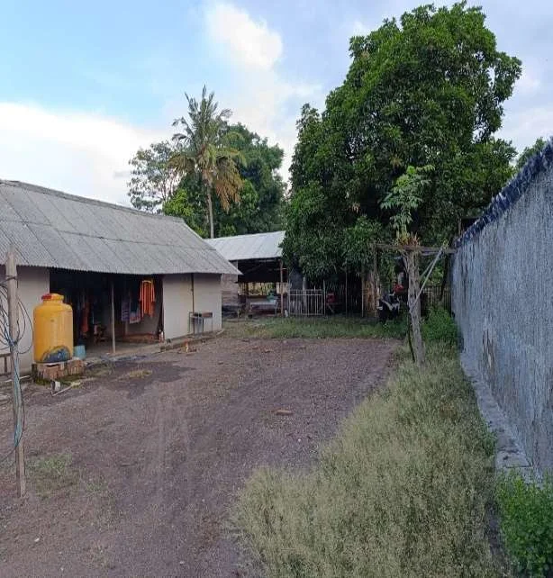 Rumah Strategis Raya Utama Situbondo Banyuwangi, Aset Lelang Pilihan! foto 3