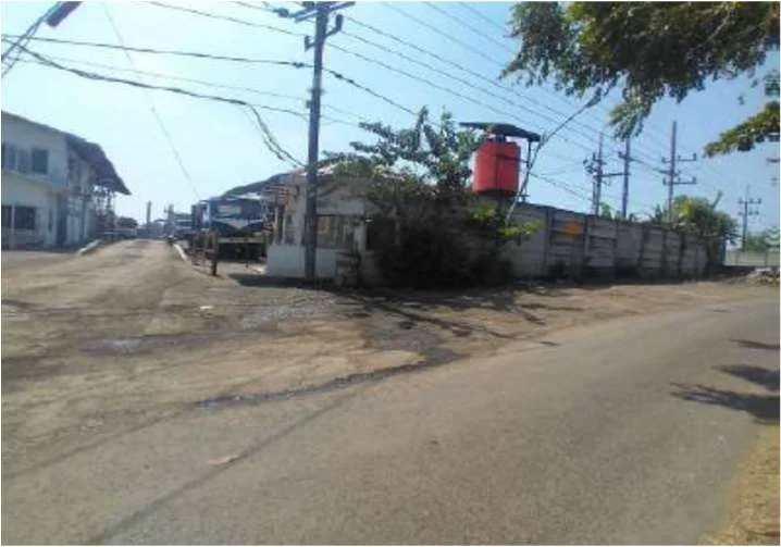 Aset Komersil Kemiri Dusun Penapon Pasuruan, Peluang Investasi Unggulan! foto 2