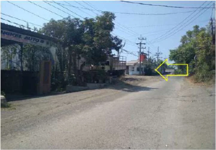 Aset Komersil Kemiri Dusun Penapon Pasuruan, Peluang Investasi Unggulan! foto 3