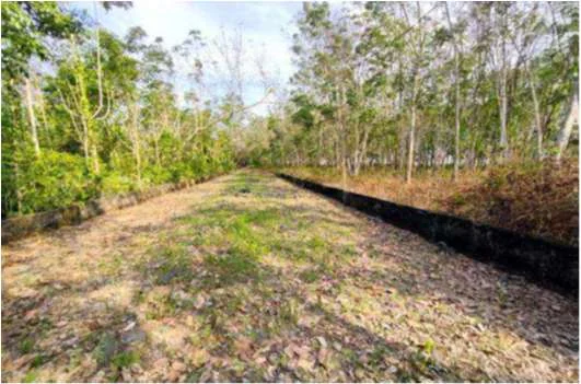 Tanah Potensial Lintas Prabumulih – Muara Enim Muara Enim, Peluang Investasi Bagus! foto 5