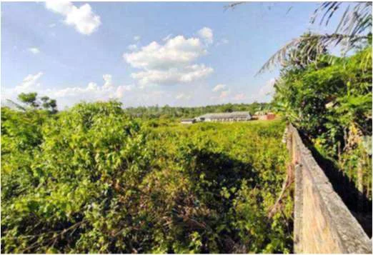 Tanah lelang Muara Enim