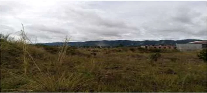 Tanah Potensial Pante Raya - Simpang Tiga Bener Meriah, Peluang Investasi Bagus! foto 4
