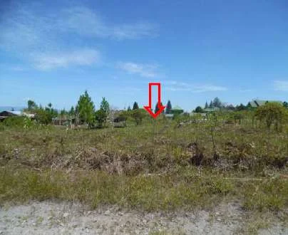 Tanah Potensial Baru / Pacuan Kuda (masuk dalam gang) Bener Meriah, Peluang Investasi Bagus! foto 3