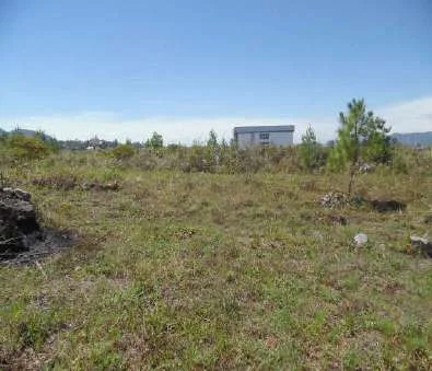Tanah Potensial Baru / Pacuan Kuda (masuk dalam gang) Bener Meriah, Peluang Investasi Bagus! foto 4