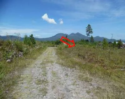 Tanah Potensial Baru / Pacuan Kuda (masuk dalam gang) Bener Meriah, Peluang Investasi Bagus! foto 5
