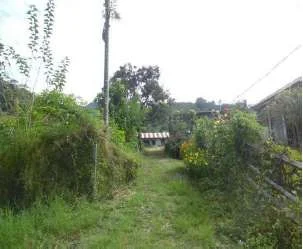 Rumah Strategis Takengon Angkop (dalamgang) Aceh Tengah, Aset Lelang Pilihan! foto 5
