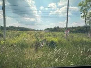 Tanah Potensial Lintas Sabak Muaro Jambi, Peluang Investasi Bagus! foto 2