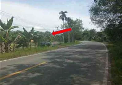 Tanah Potensial Lintas Sabak Muaro Jambi, Peluang Investasi Bagus! foto 3
