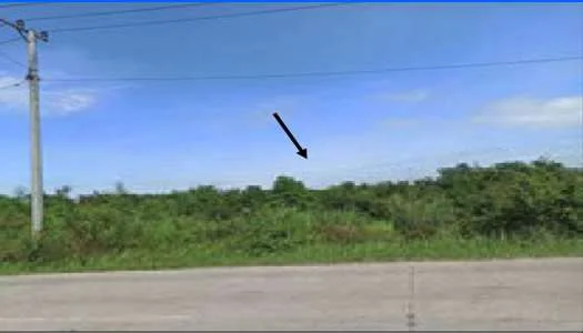 Tanah Potensial Lintas Sabak Jambi, Peluang Investasi Bagus! foto 2