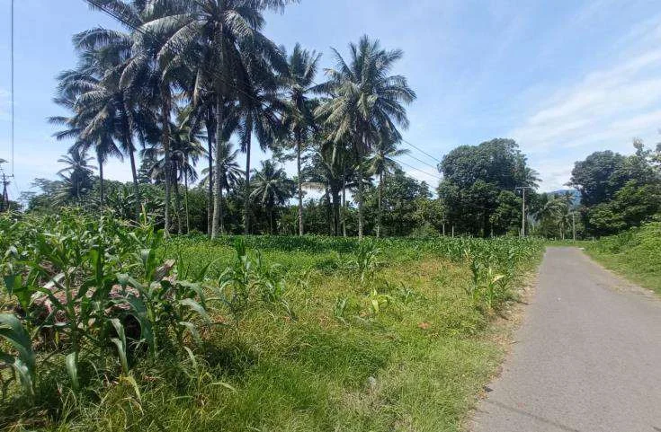 Tanah Potensial Worang By Pass Sulawesi Utara, Peluang Investasi Bagus! foto 4