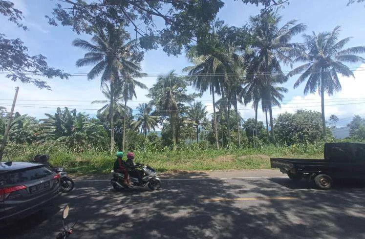 Tanah lelang Sulawesi Utara