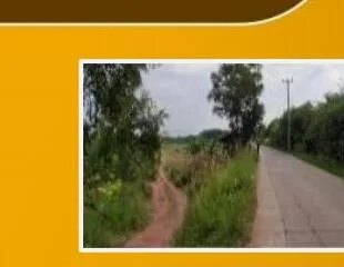 Tanah lelang Karawang