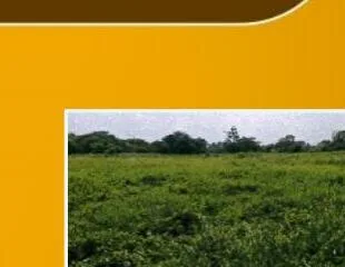 Tanah lelang Karawang